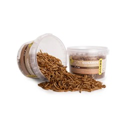 SNACK ORYCS GUSANOS DE LA HARINA