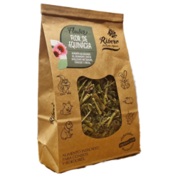 FLOR DE EQUINÁCEA RIBERO