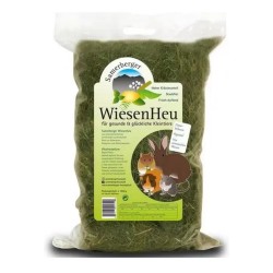 HENO SAMERBERGER 2º CORTE