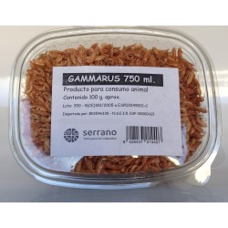 GAMMARUS