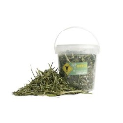 SNACK ORYCS ENELDO 100gr