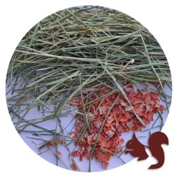 HERRE HENO DE FESTUCA CON ZANAHORIA