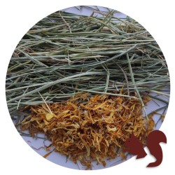 HERRE HENO DE FESTUCA CON CALENDULA