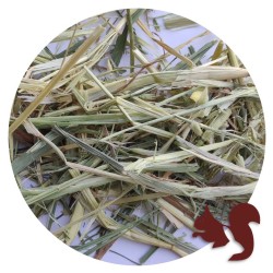 HERRE HENO DE AVENA VERDE