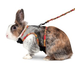 ARNÉS CON CORREA PARA CONEJO KARLIE ART JOY