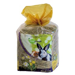 HENO HOMEFRIENDS MANZANILLA DIENTE LEON