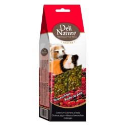 BARRITAS FRUTOS DEL BOSQUE PARA COBAYAS