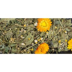 JR GRAINLESS PLUS CAMOMILLA Y DIENTE LEON